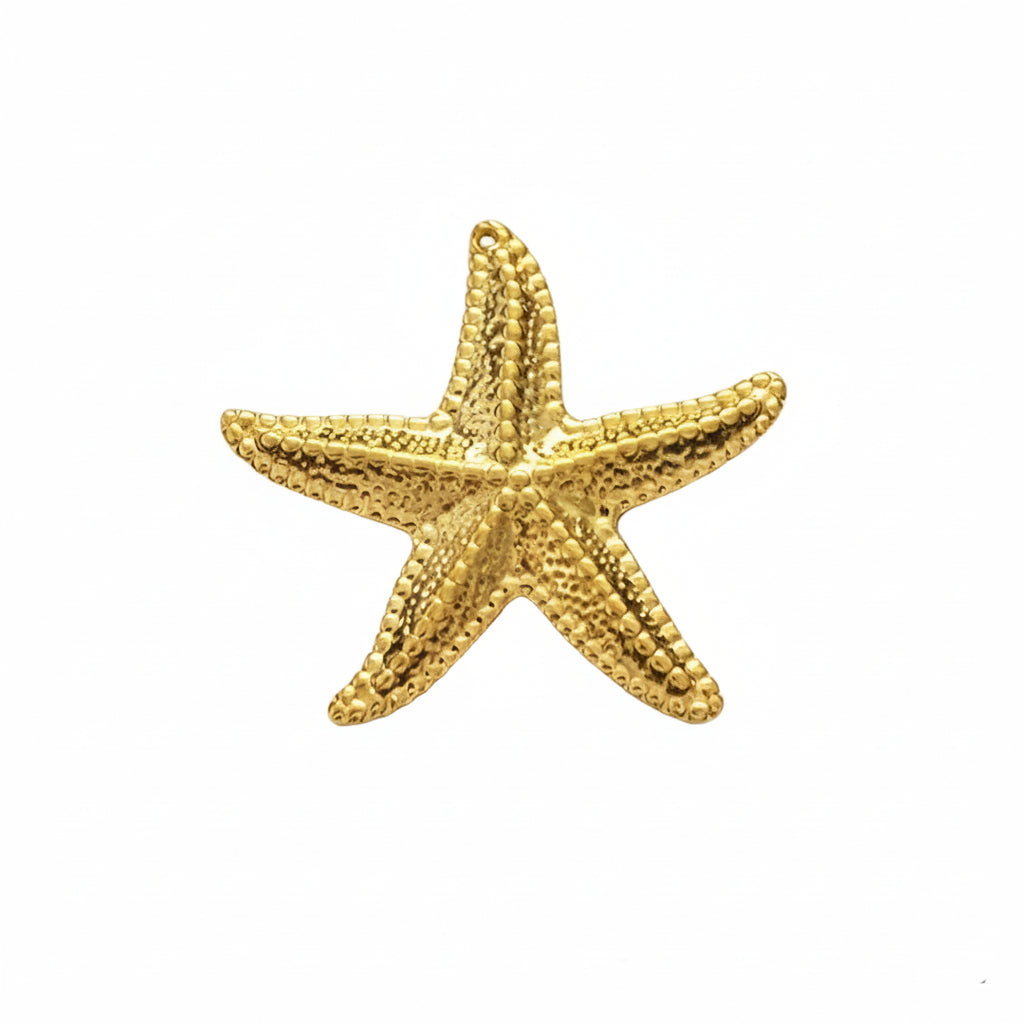 Ocean Beach Sea Star Charm
