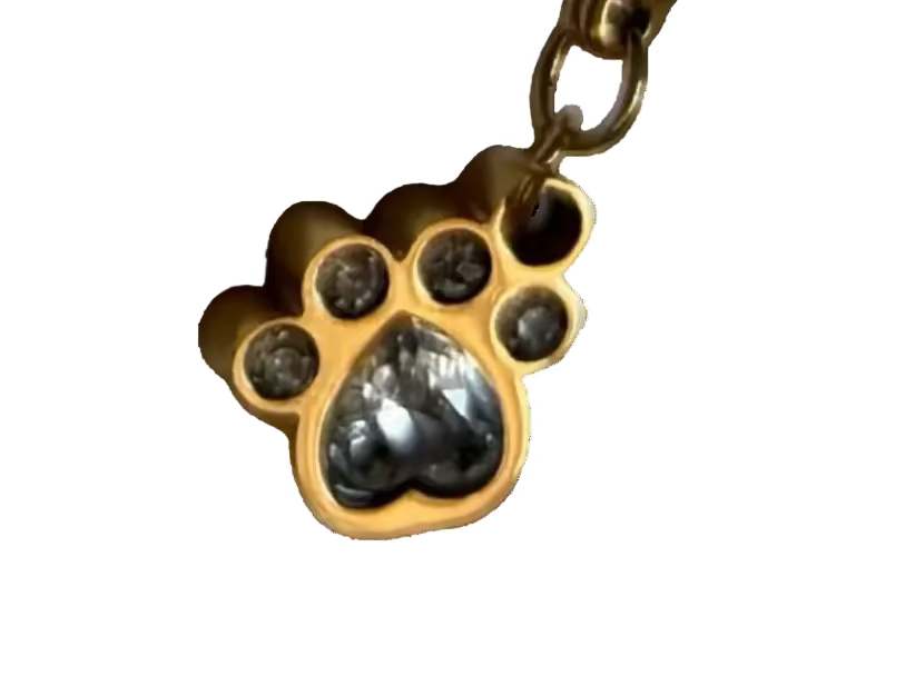 Paw Charm